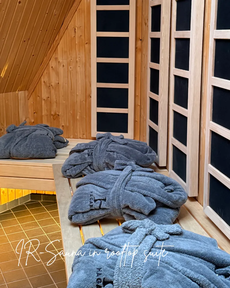 ir-sauna in rooftop suite